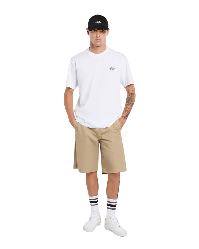 Dickies T-shirt Summerdale Uomo Bianco