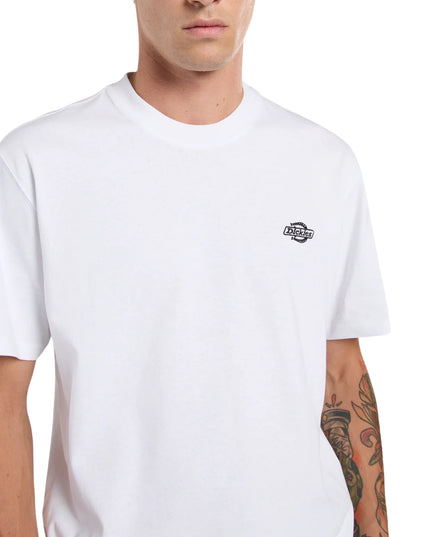 Dickies T-shirt Summerdale Uomo Bianco