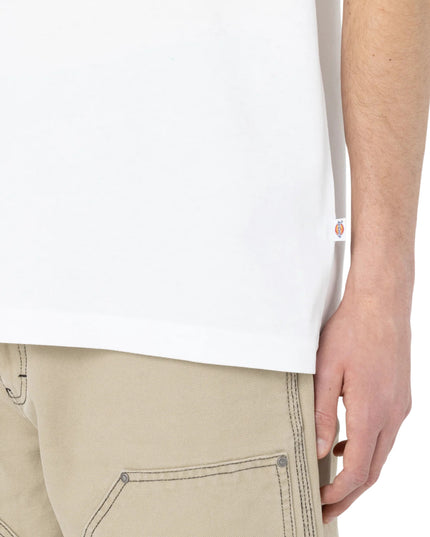 Dickies T-shirt Summerdale Uomo Bianco