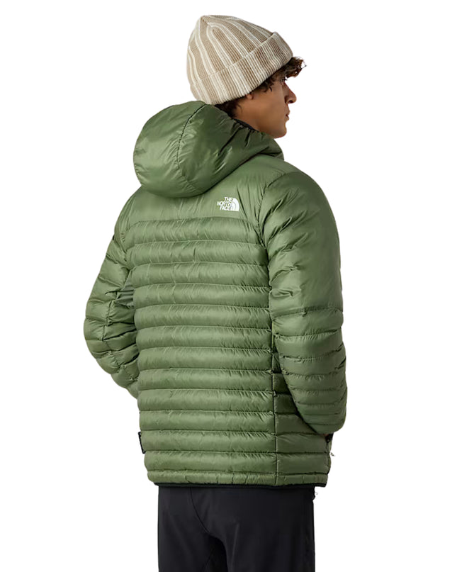 The North Face Terra Peak Giubbino Uomo Verde