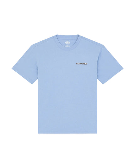 Dickies T-shirt Thornville Uomo Blu