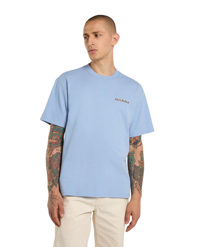 Dickies T-shirt Thornville Uomo Blu