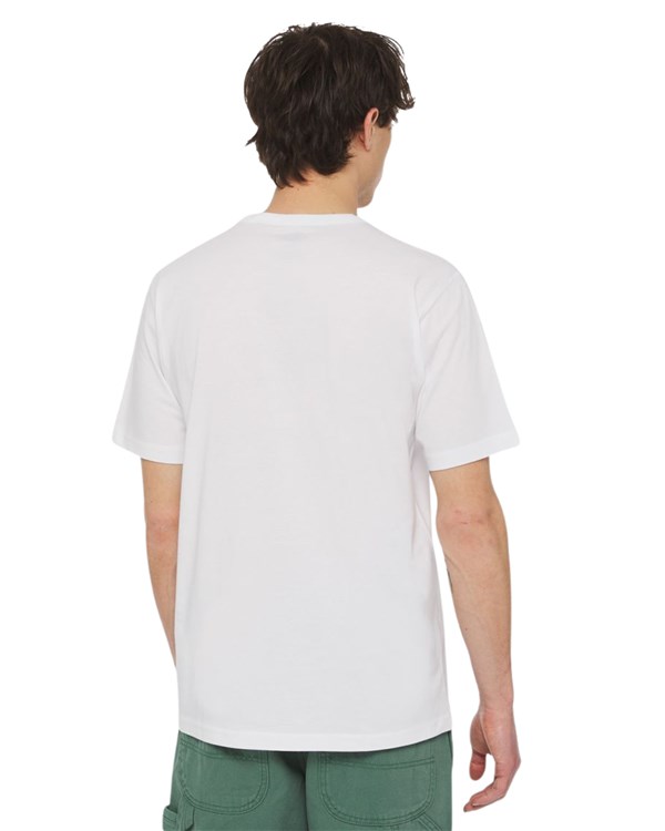 Dickies Abbigliamento Uomo Manica Corta white_lincoln_green DK0A4X9F