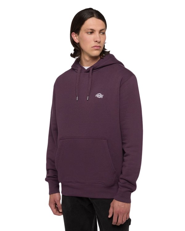 Dickies Abbigliamento Uomo Con Cappuccio plum_perfect DK0A4Y6PJ561